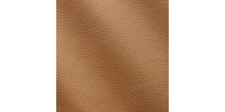 Express Fashion Zenith Champagne 9039