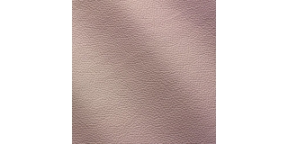 Express Fashion Zenith Cipria 9041