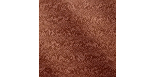 Express Fashion Zenith Corteccia 9011