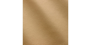 Express Fashion Zenith Deserto 9005