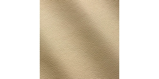 Express Fashion Zenith Ecru 9002