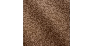 Express Fashion Zenith Fango 9013