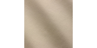 Express Fashion Zenith Ghiaccio 9003