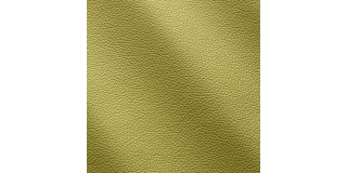 Express Fashion Zenith Lime 9036