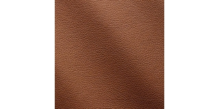Express Fashion Zenith Marrone 9029