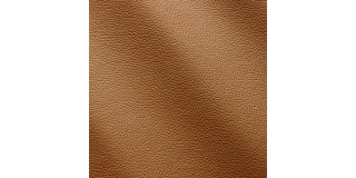 Express Fashion Zenith Miele 9027