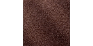 Express Fashion Zenith Mogano 9046