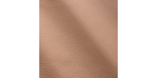 Express Fashion Zenith Nude 9043