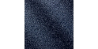 Express Fashion Zenith Oceano 9021