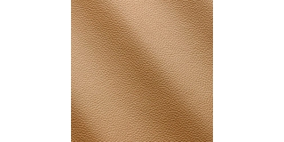 Express Fashion Zenith Pergamena 9006