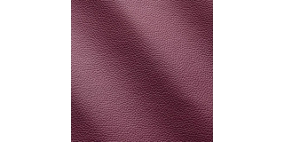 Express Fashion Zenith Petunia 9042
