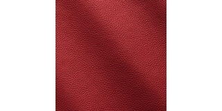 Express Fashion Zenith Rosso 9016