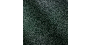 Express Fashion Zenith Verdone 9018