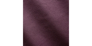 Express Fashion Zenith Viola 9025
