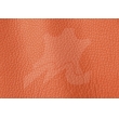 Atlantic Collection Coral 536