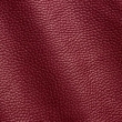 Express Fashion Adria Dahlia D61653