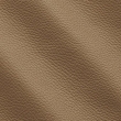 Express Fashion Adria Douglas I744674