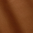 Express Fashion Adria Lion D32634