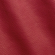 Express Fashion Adria Orchidea D61821