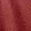 Express Fashion Atlantic Blush 538