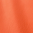 Express Fashion Atlantic Coral 536