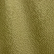 Express Fashion Atlantic Yellow Green 545
