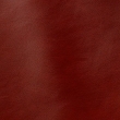 Express Fashion Classic Rust 802