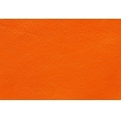 Virtus 61 235