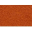Mondial 13 691