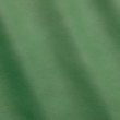 Express Fashion Joy Green Ray MS410040