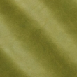 Express Fashion Organic Evergreen 10008