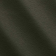 Express Fashion Peggy Loden I681358
