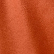 Express Fashion Roma Cognac 904