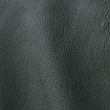 Express Fashion Roma Ever Green 902