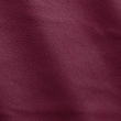 Express Fashion Seta Orchidea D61629