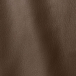 Express Fashion Vogue Apes 6021