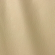 Express Fashion Vogue Ash 6026