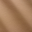 Express Fashion Zenith Beige 9040