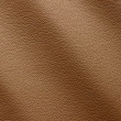 Express Fashion Zenith Cappuccino 9028