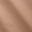 Express Fashion Zenith Nude 9043